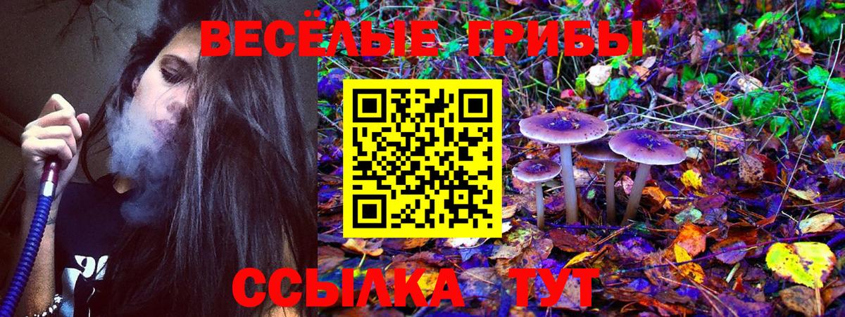 Галлюциногенные грибы мицелий Павловский Посад