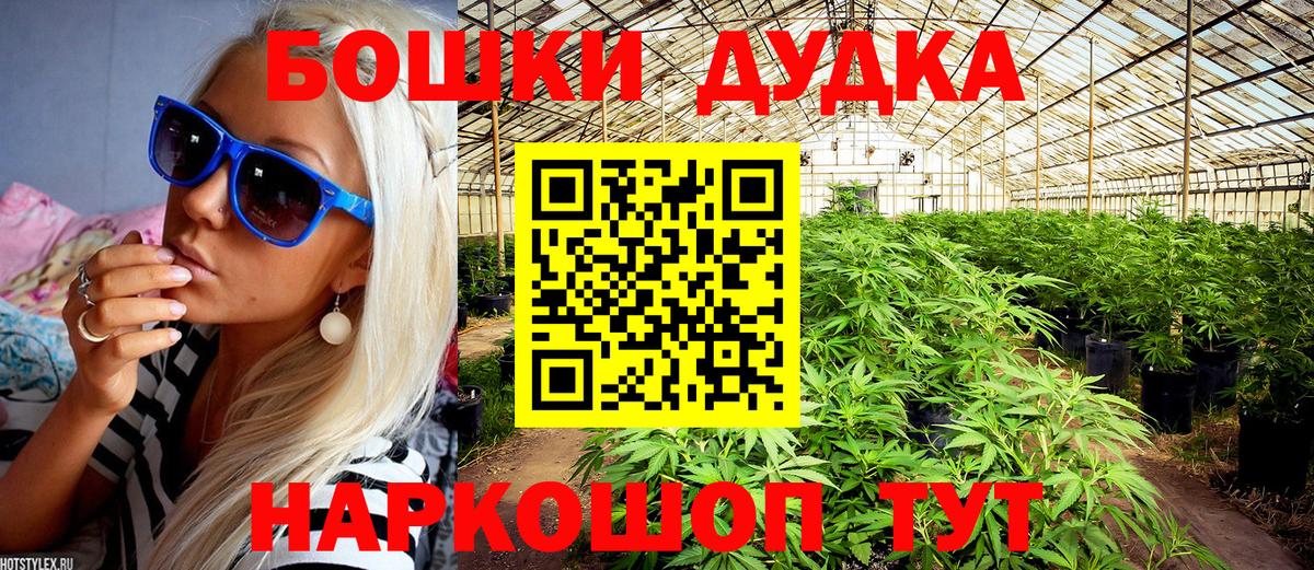 Бошки марихуана сатива  Вход с VPN  Марихуана план  Павловский Посад  Бошки марихуана сатива  Шишки марихуана ГИДРОПОН 